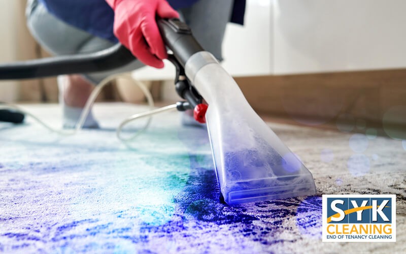 professional home cleaning